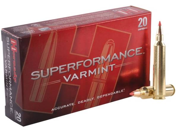 Hornady Superformance Varmint 204 Ruger Ammo 32 Grain Hornady V-Max Polymer Tip